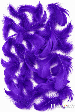 Oie - 4-6 cm - violet